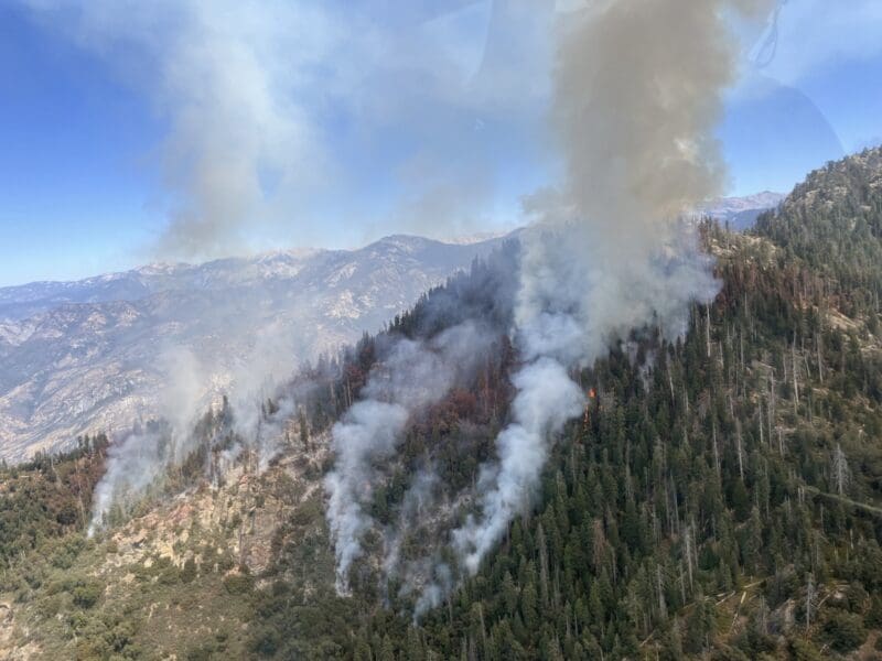 The Coffeepot Fire in Sequoia National Park.