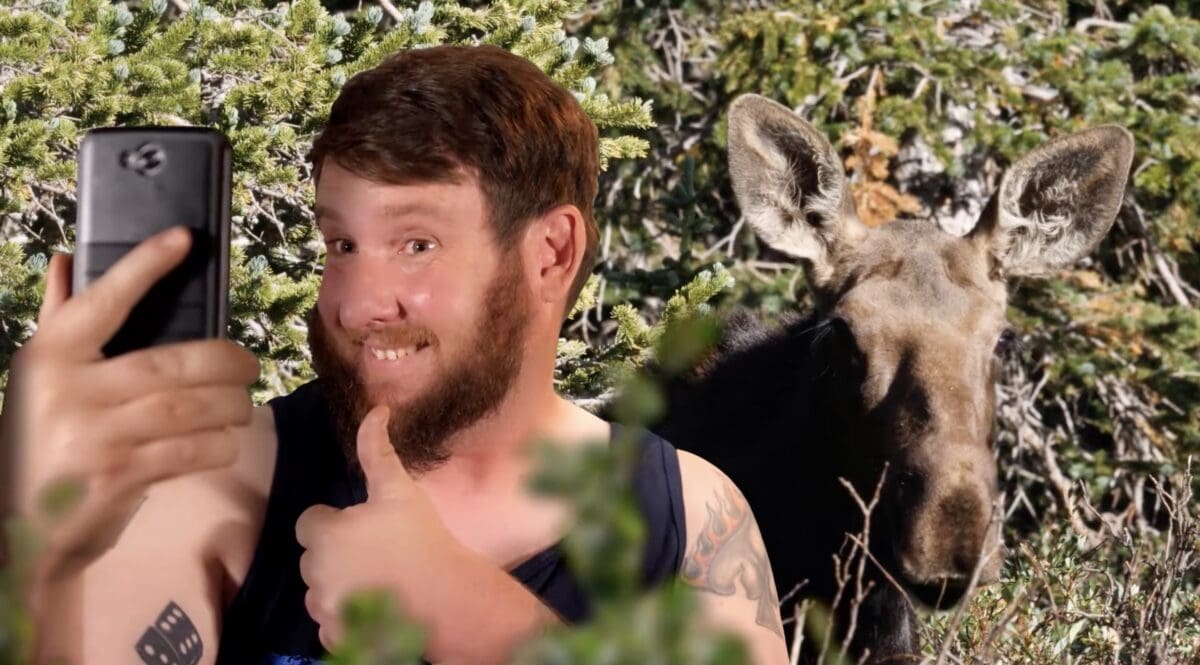 Selfies And Wildlife Don't Mix!