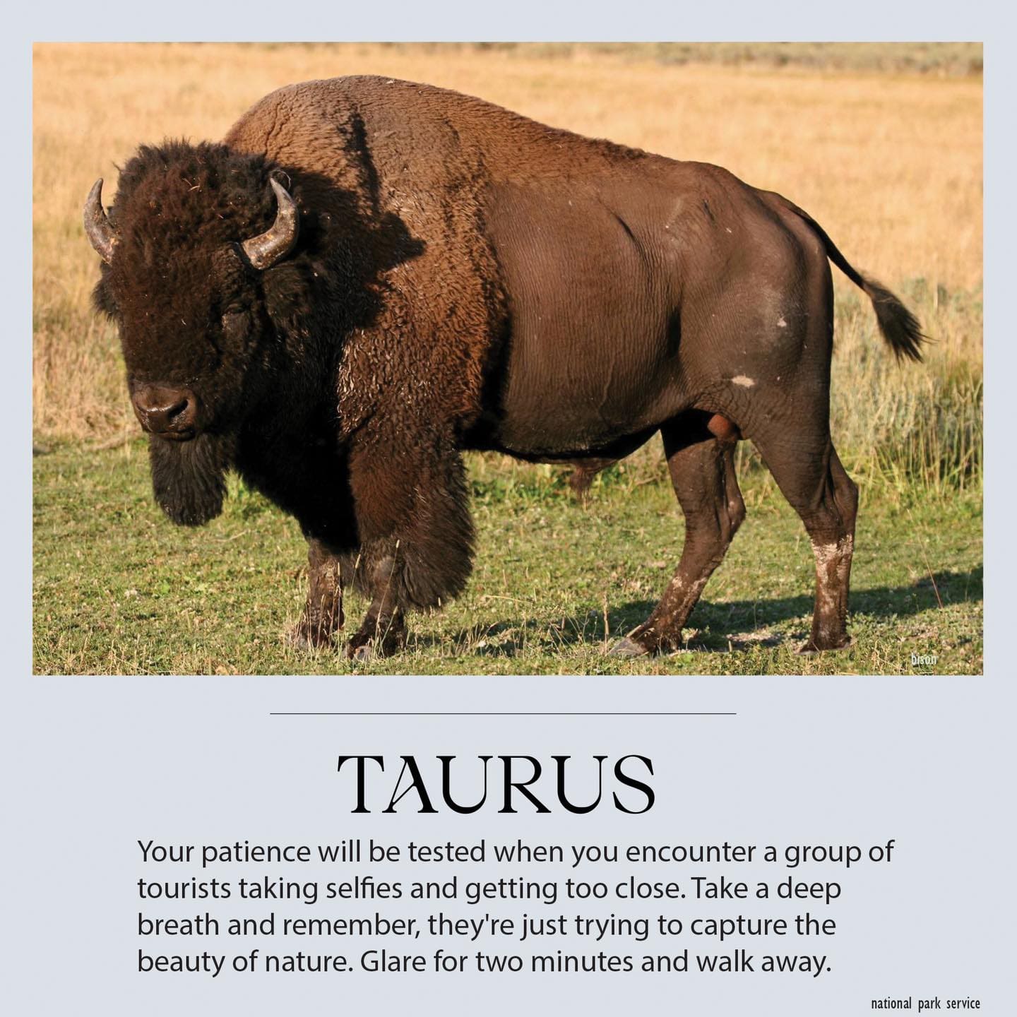 National Park Service Issues Horoscope Featuring Its Resident Wildlife