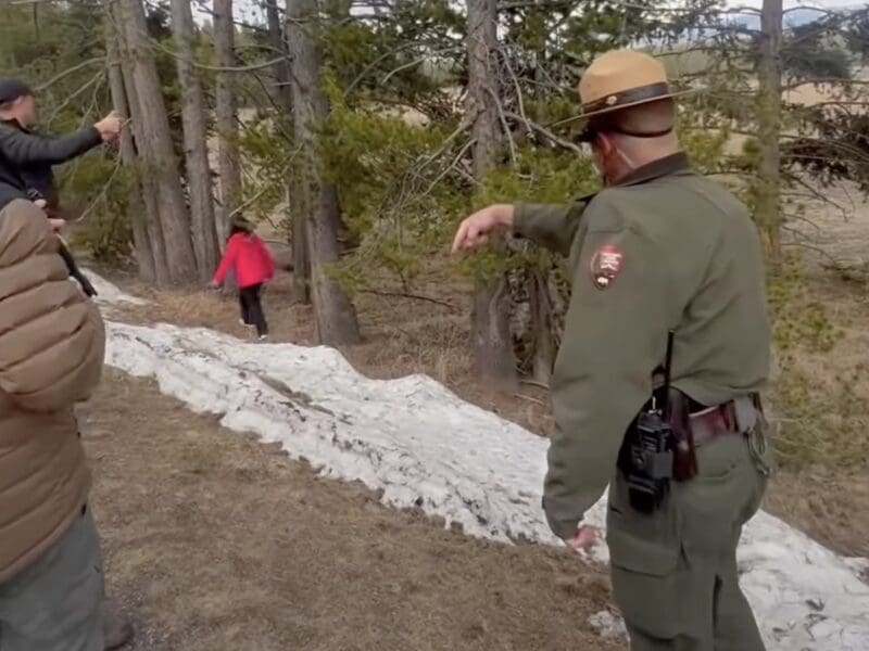 Tourists ignore park ranger warnings @ Yellowstone National Park