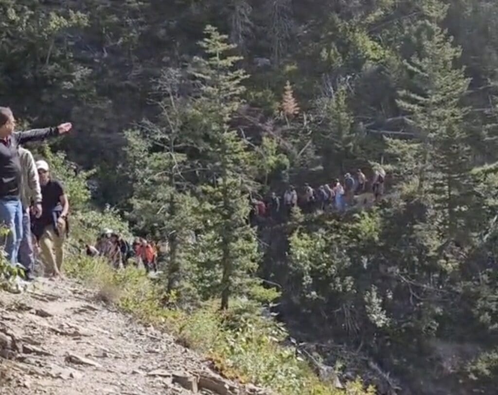 Grizzly follows hikers @ Waterton Lakes National Park