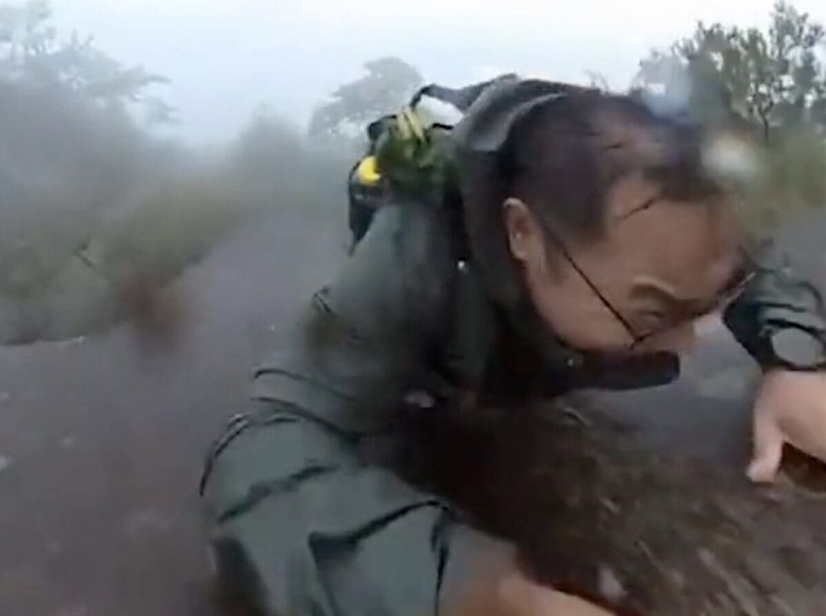 Sliding hiker saved by tree.