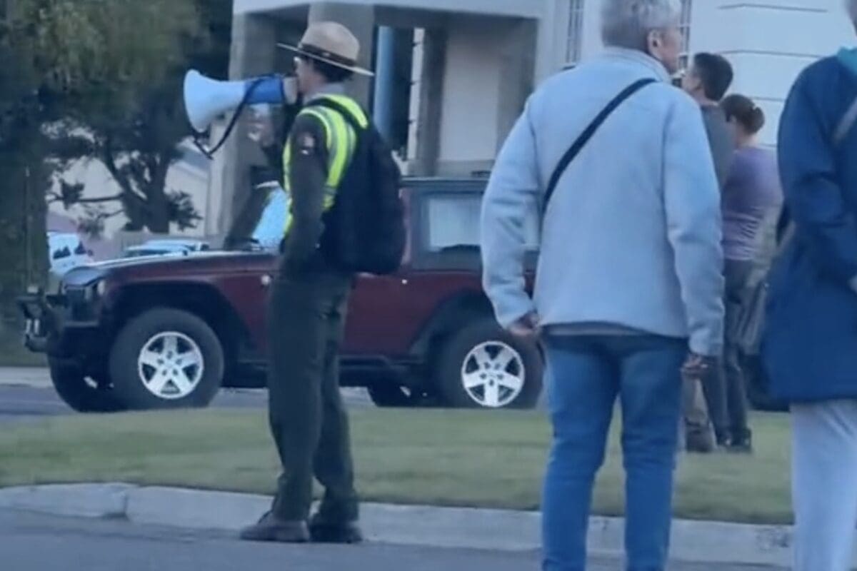 Yellowstone rangers keep tourists safe during elk rut.