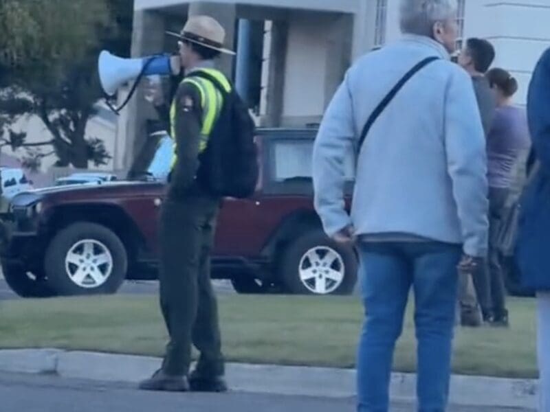 Yellowstone rangers keep tourists safe during elk rut.