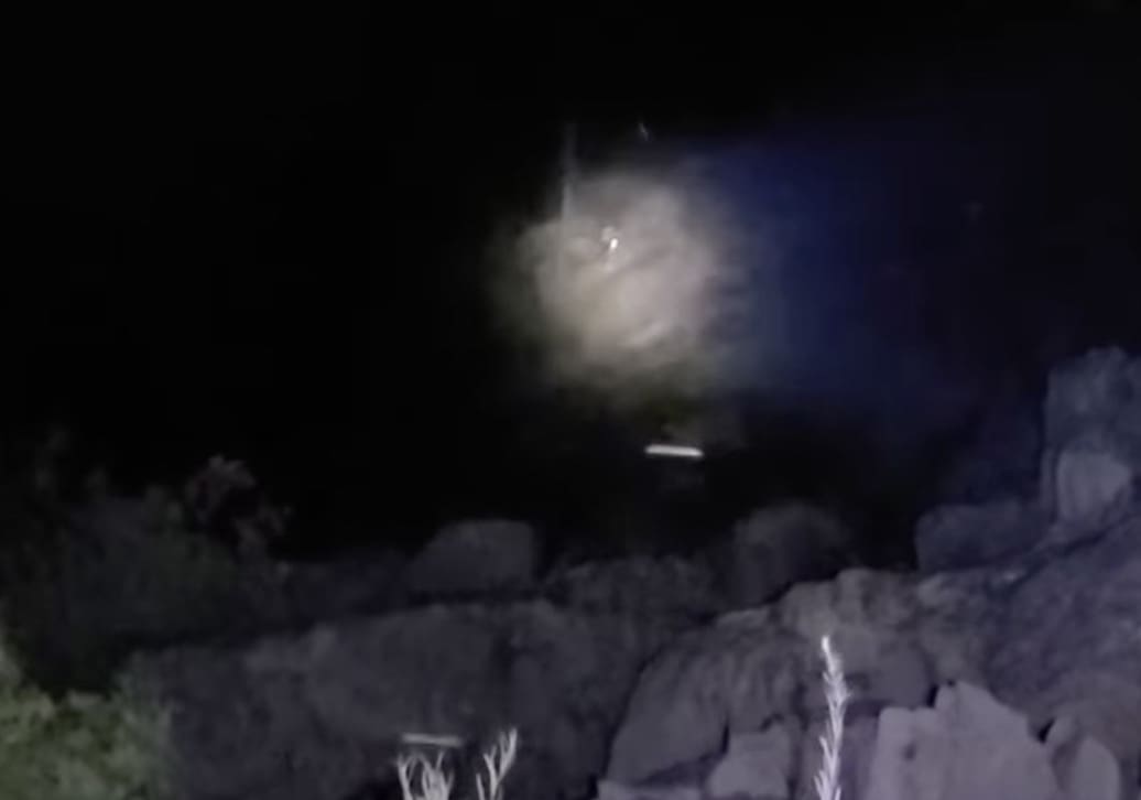 Intense mountain lion encounter.