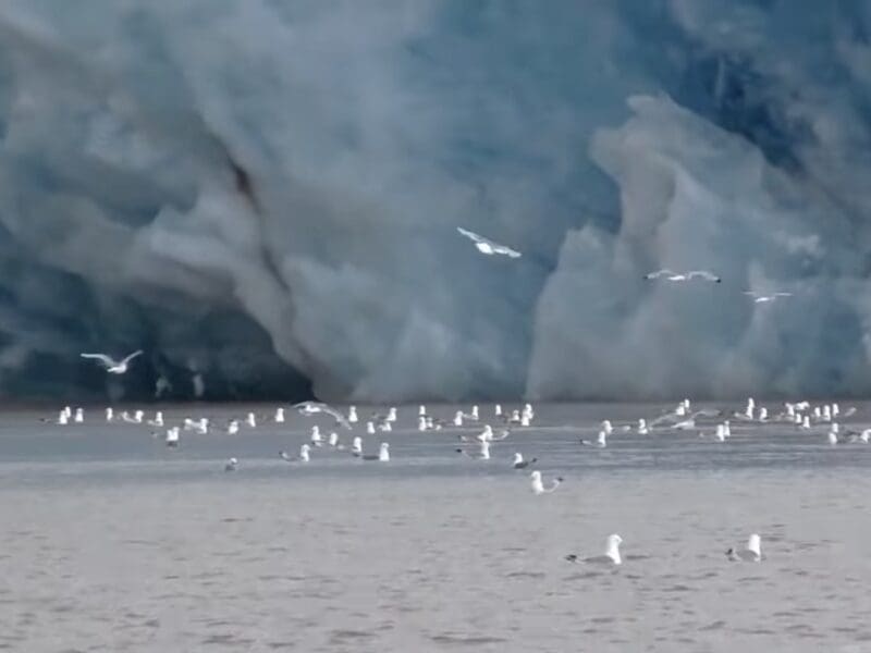 Upwelling plume near Svalbard.