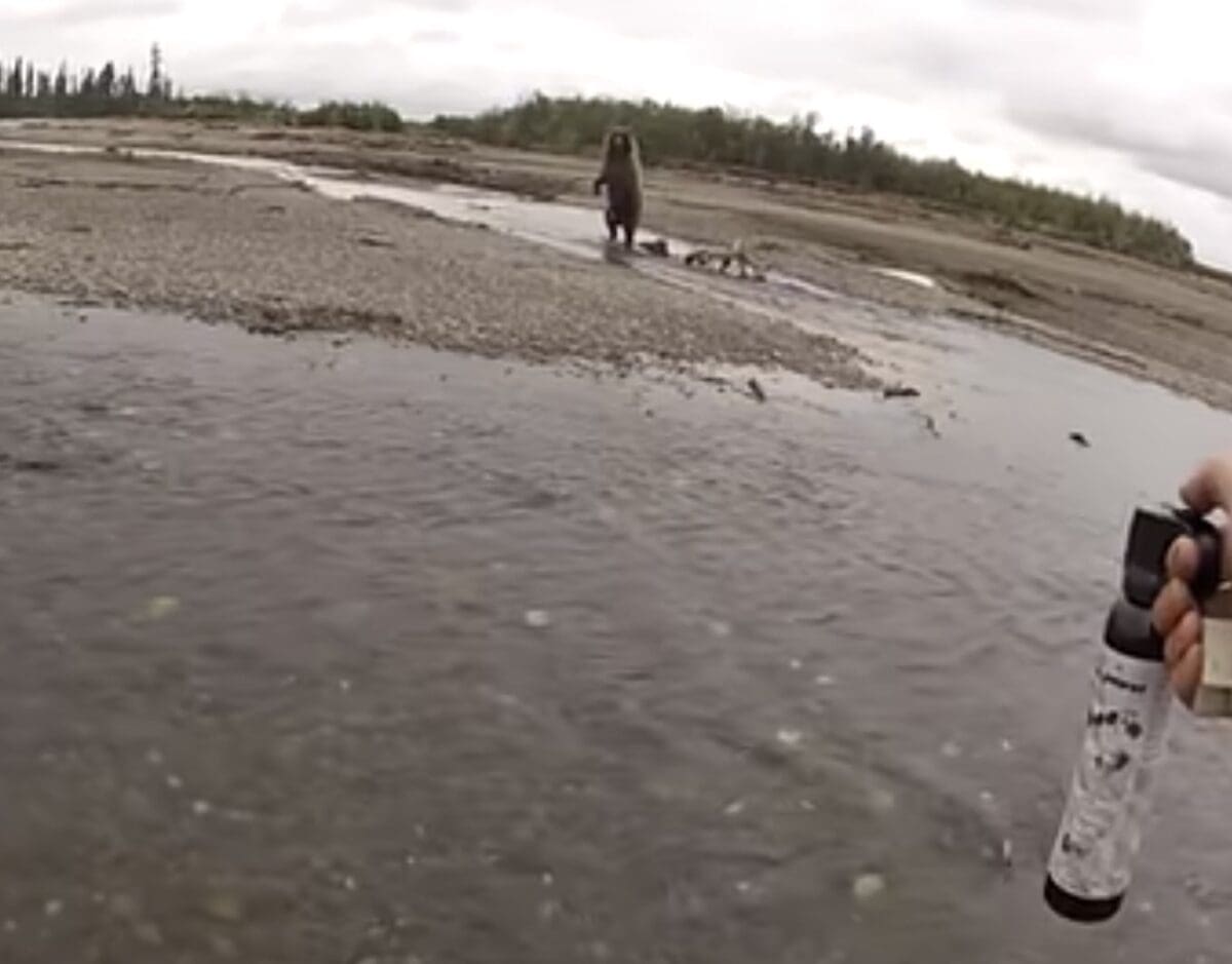 Fishermen pursued by a grizzly bear.
