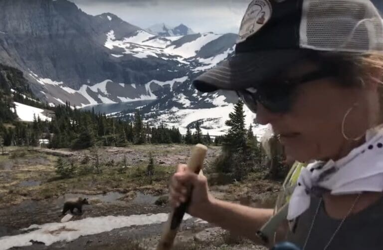 Hikers protected from grizzly by park ranger @ Glacier National Park