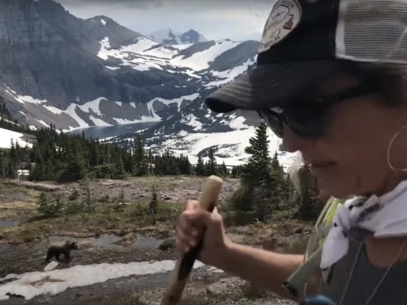 Hikers protected from grizzly by park ranger @ Glacier National Park