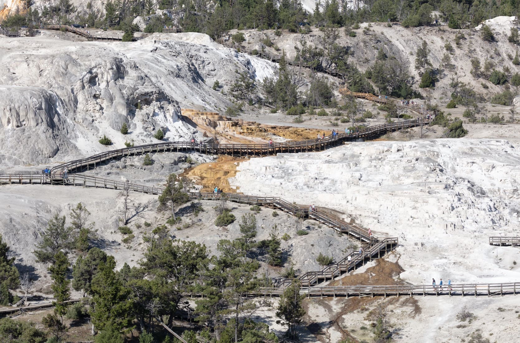 Colorado Man Sentenced To A Week In Jail After Walking On Yellowstone