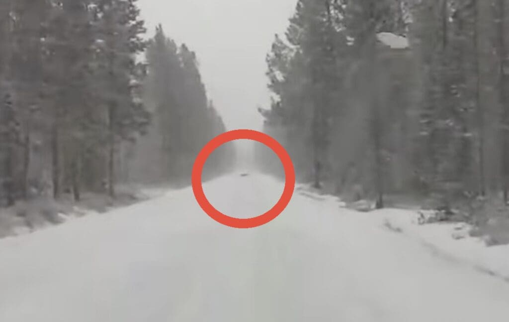 Possible wolverine sighting near Yellowstone National Park