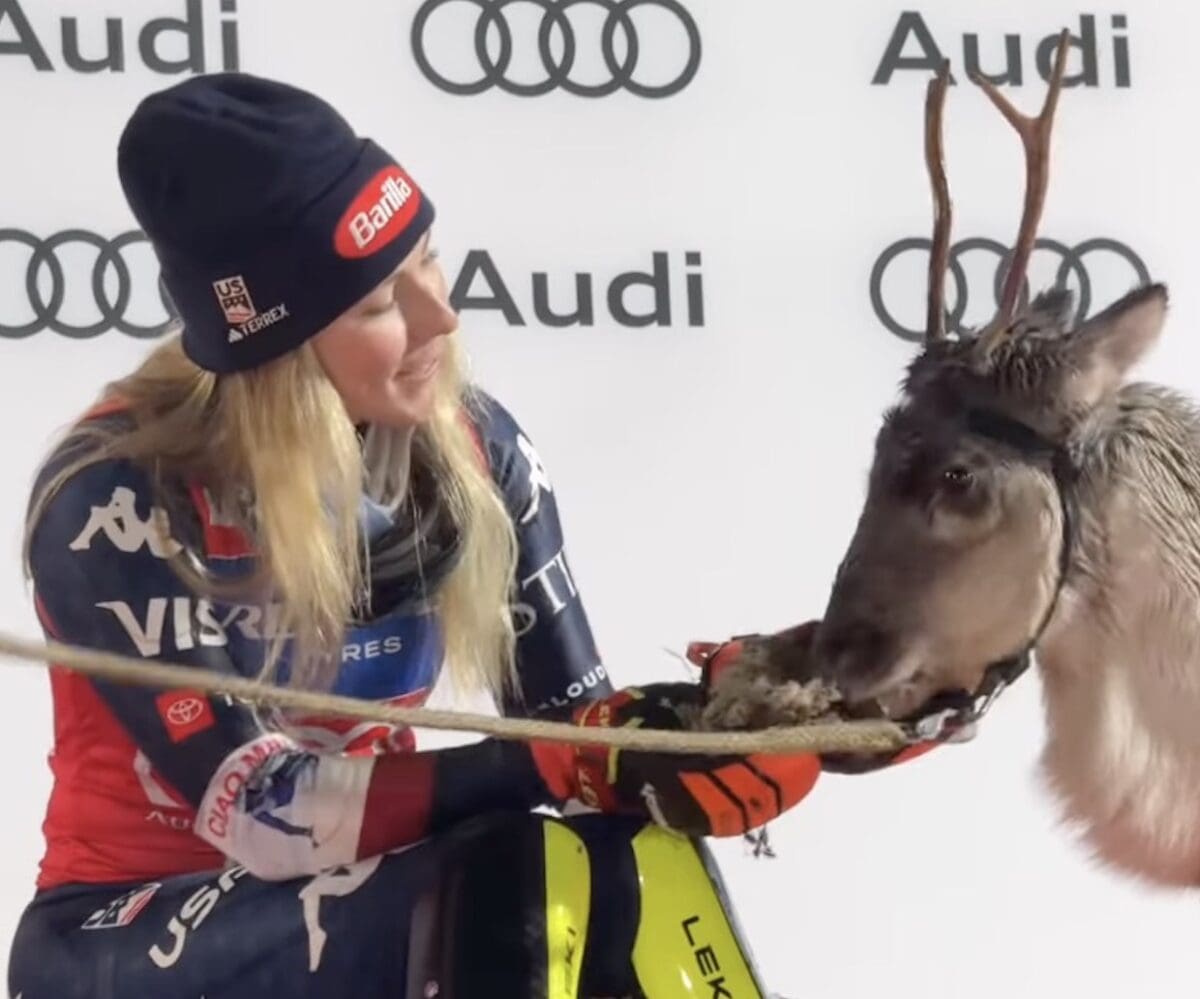Mikaela Shiffrin newest reindeer "Rori" short for Aurora Borealis