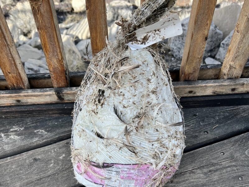 Don't brine your turkey in The Great Salt Lake.