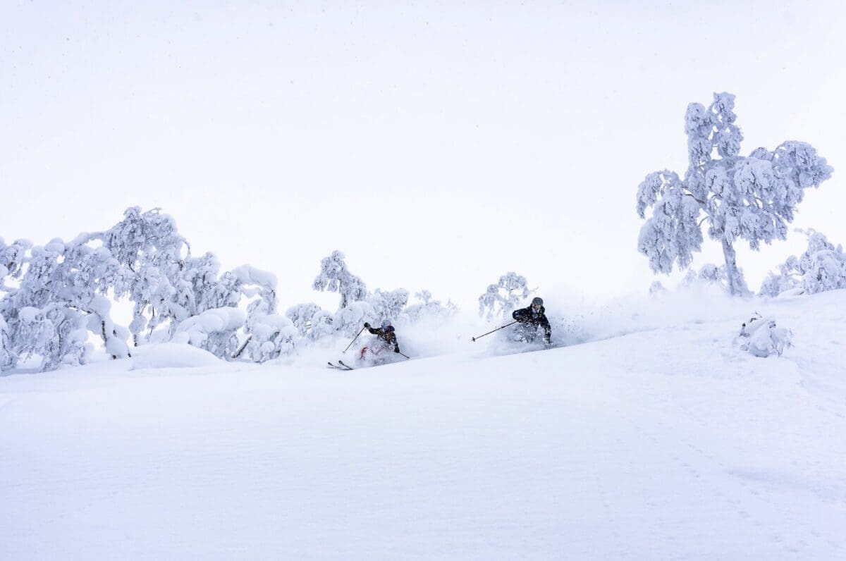 Credit: Japan Ski Tours