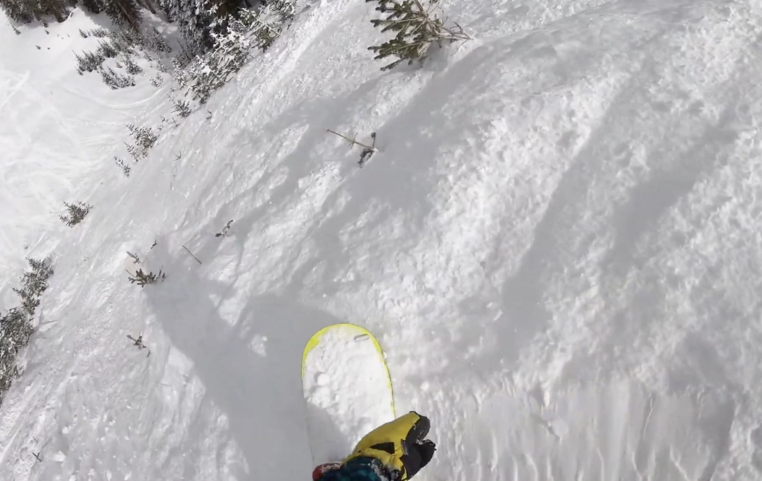 Snowboarding the steepest tree-cut run in North America.