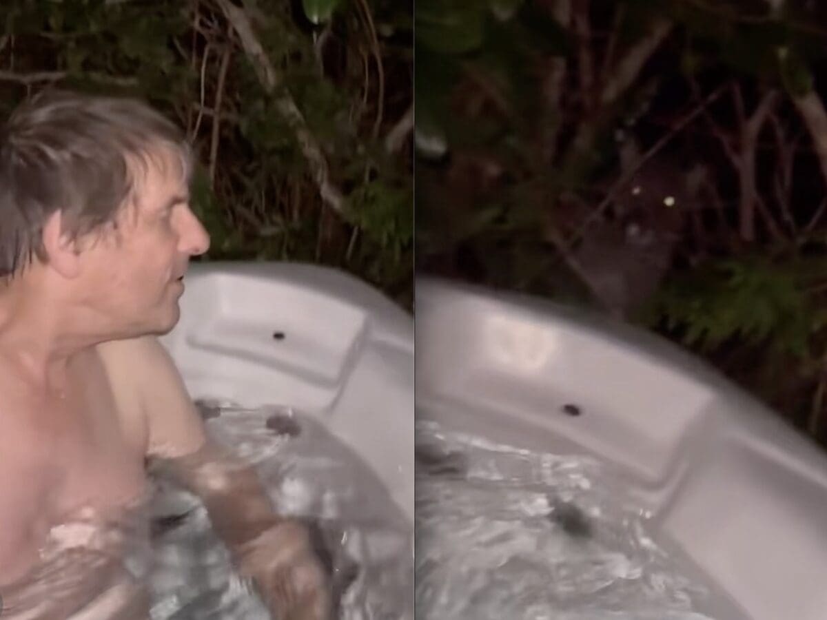 Family taking a hot tub realizes there is a mountain lion just feet away.
