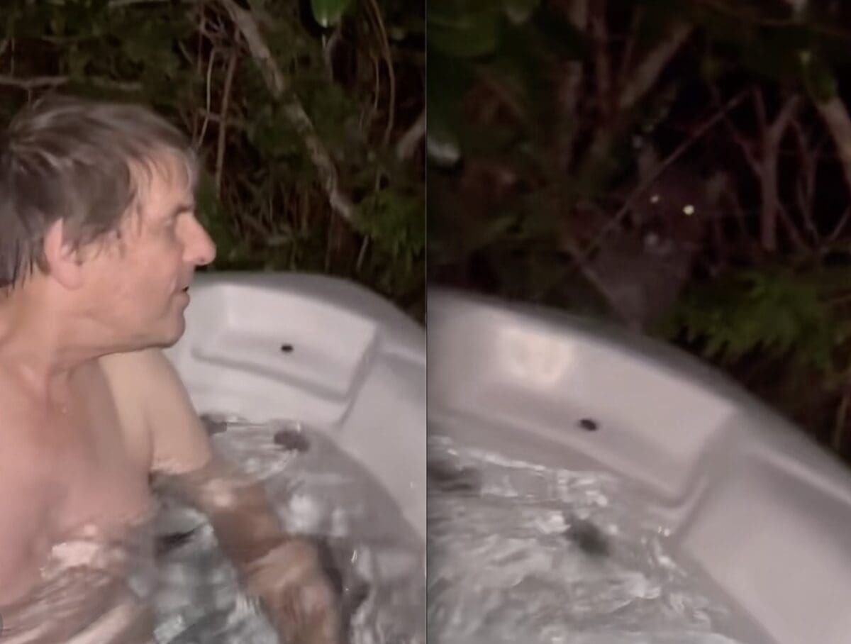 Family taking a hot tub realizes there is a mountain lion just feet away.