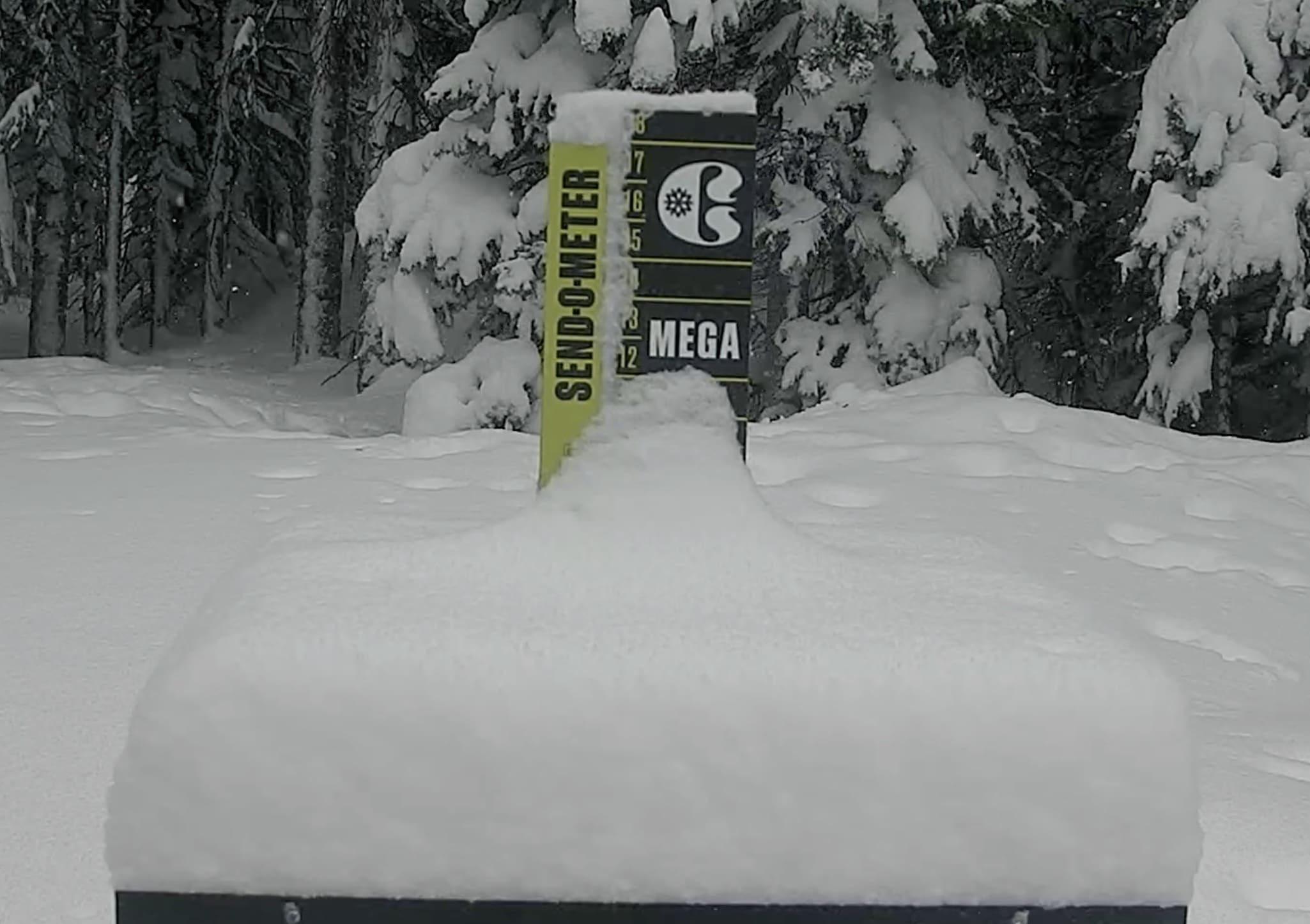 Copper Mountain snow stake @ 9:31am on January 2.