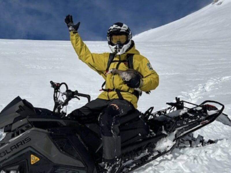 Mt. Shasta rangers rescue goose.