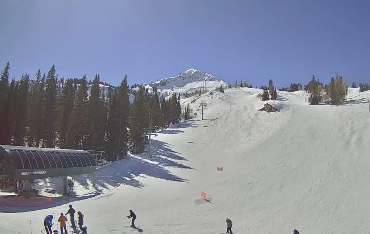 Milly Express at Brighton Resort.