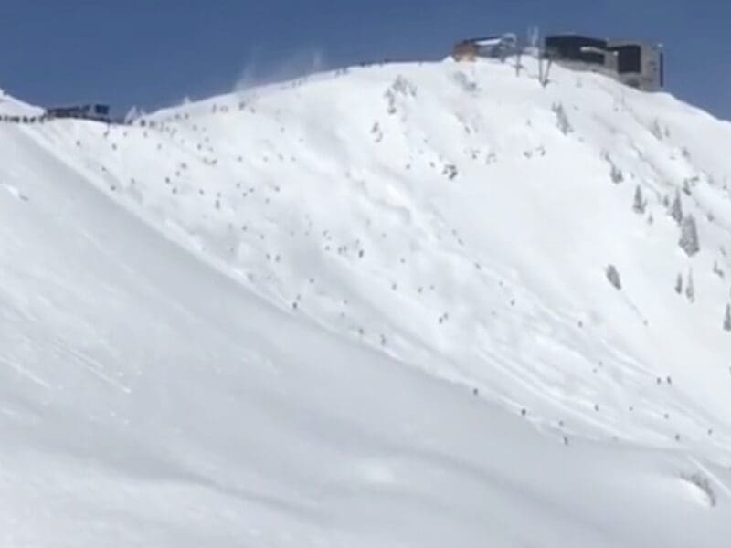 Rope drop at Snowbird.