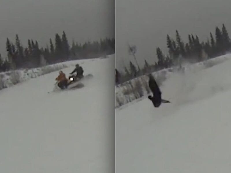 Brutal snowmobile on snowmobile collision.