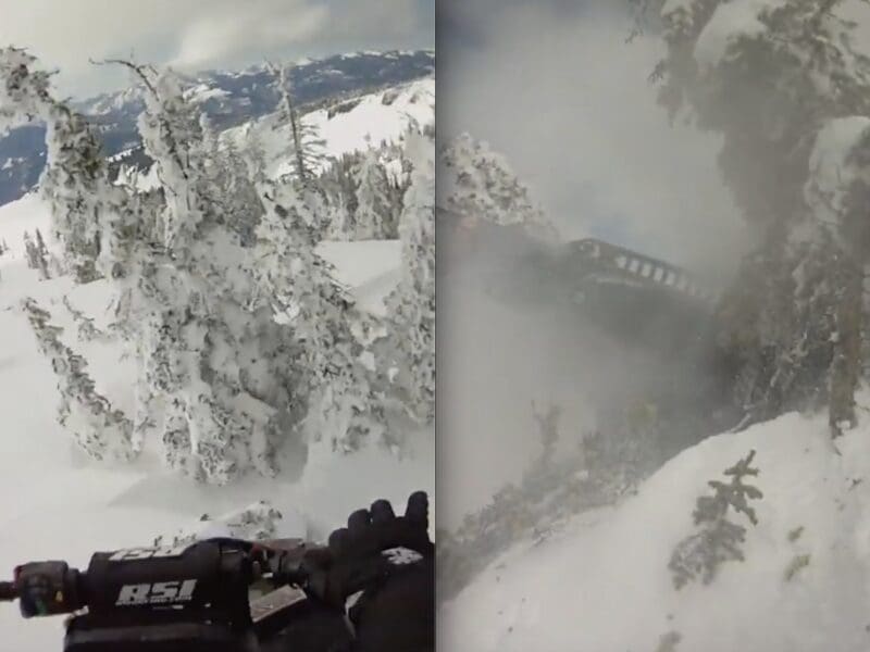 Snowmobile crashes into tree.