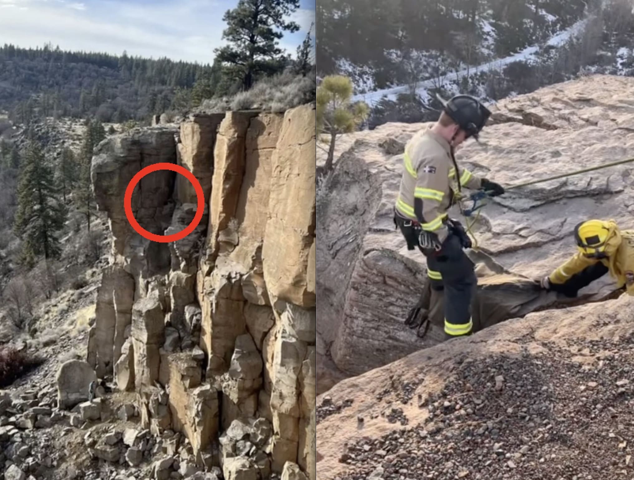 Rock Climbing Firefighter Saves Lost Dog Trapped On High Cliff ...