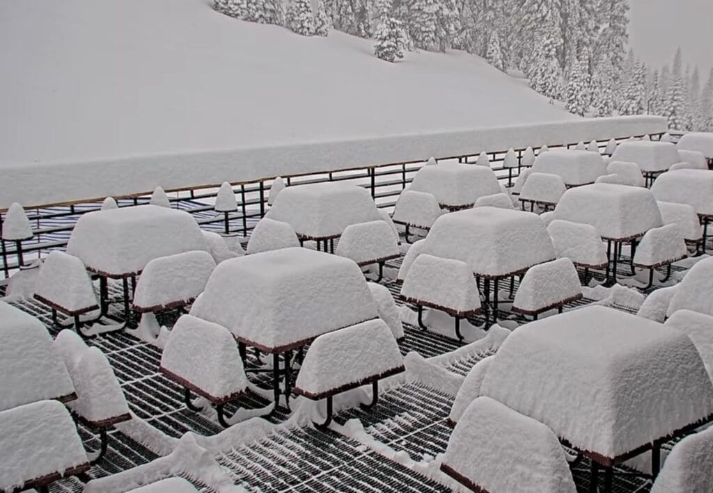 24 inches of snowfall at Dodge Ridge.