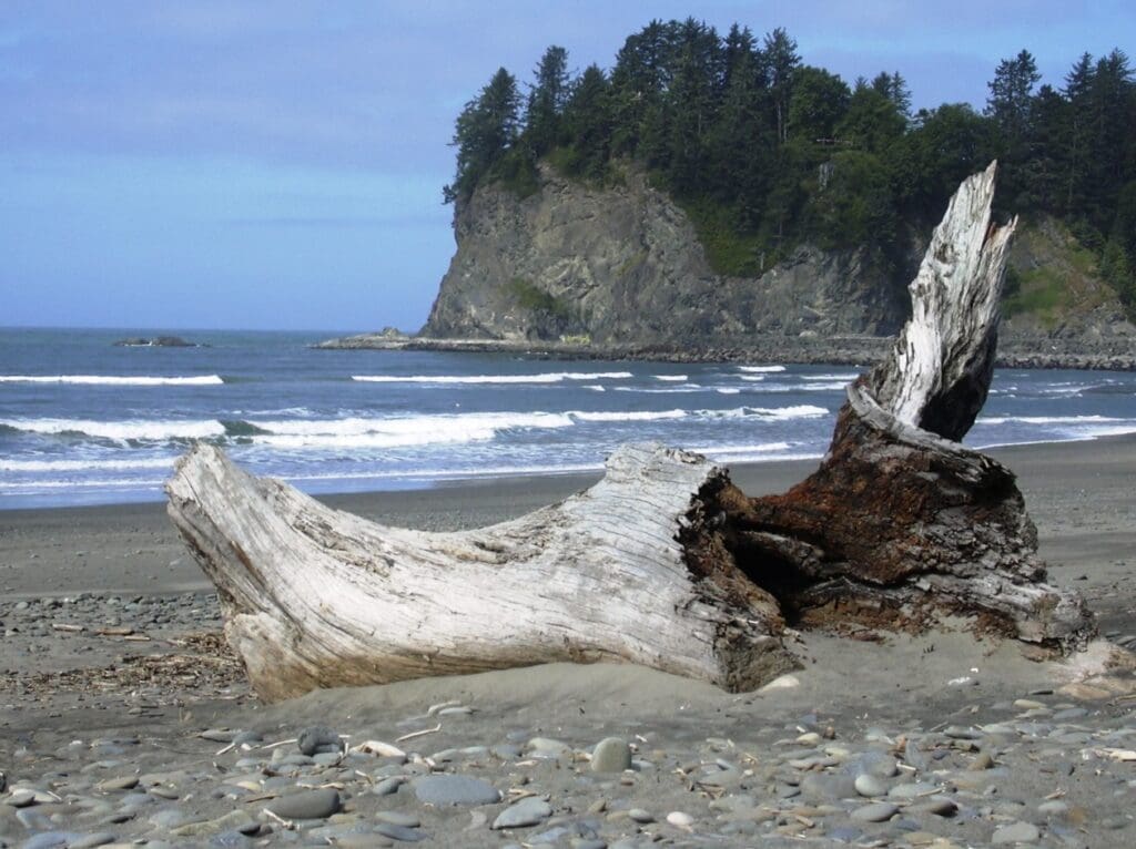 Olympic National Park.