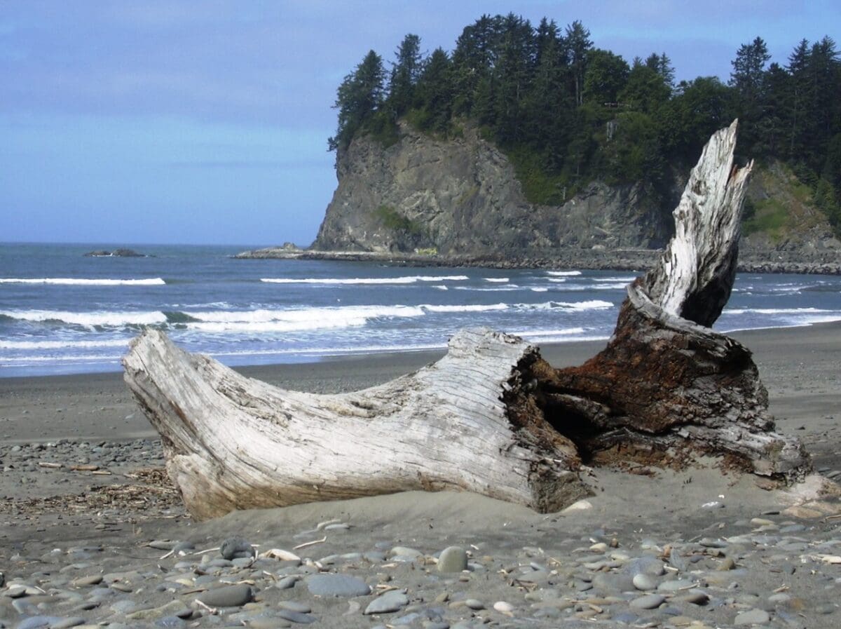 Olympic National Park.