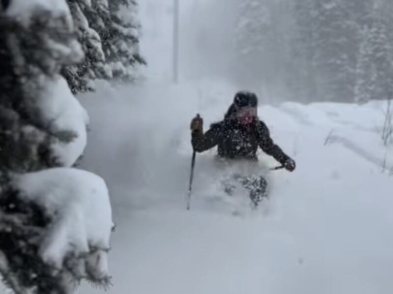 Powder skiing at Telluride.