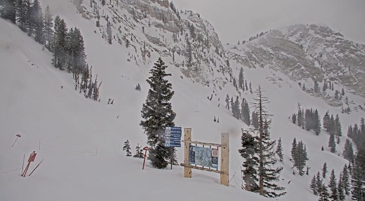 Solitude Honeycomb Canyon live camera @ 8:13am MDT 3/13.