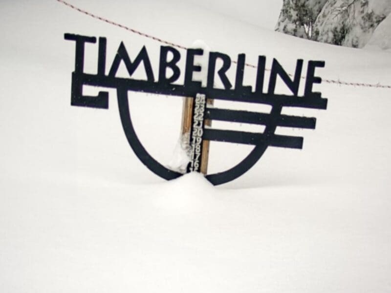 TImberline Lodge Snow Stake cam.