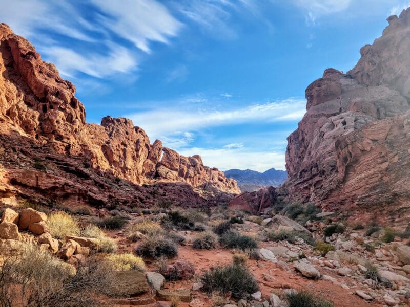 Mass rescue at Lake Mead National Recreation Area amid extreme heat