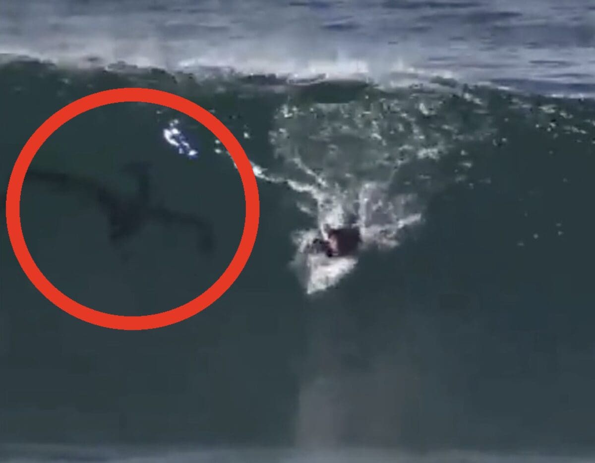 Mystery surrounds this object in the water off San Diego