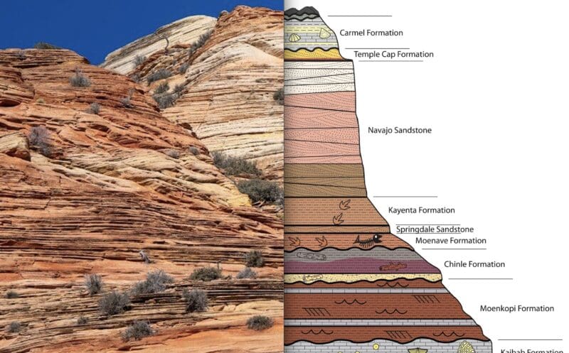 Rock layer infographic @ Zion National Park