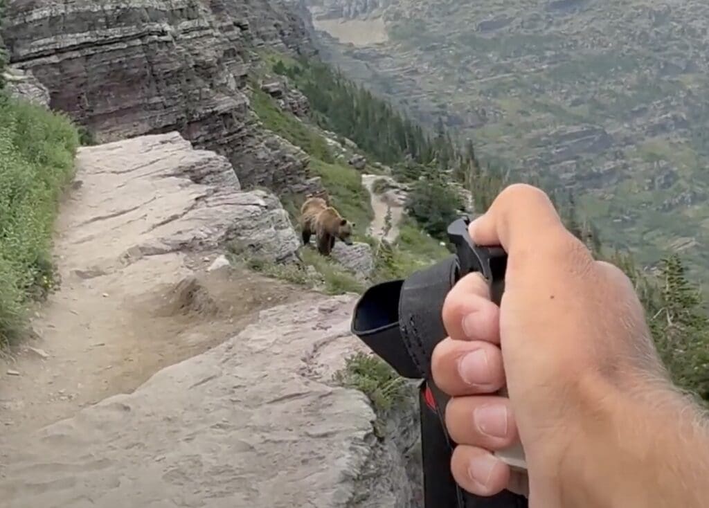 Hiker draws bear spray as grizzly approaches @ Glacier National Park