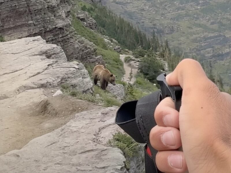 Hiker draws bear spray as grizzly approaches @ Glacier National Park