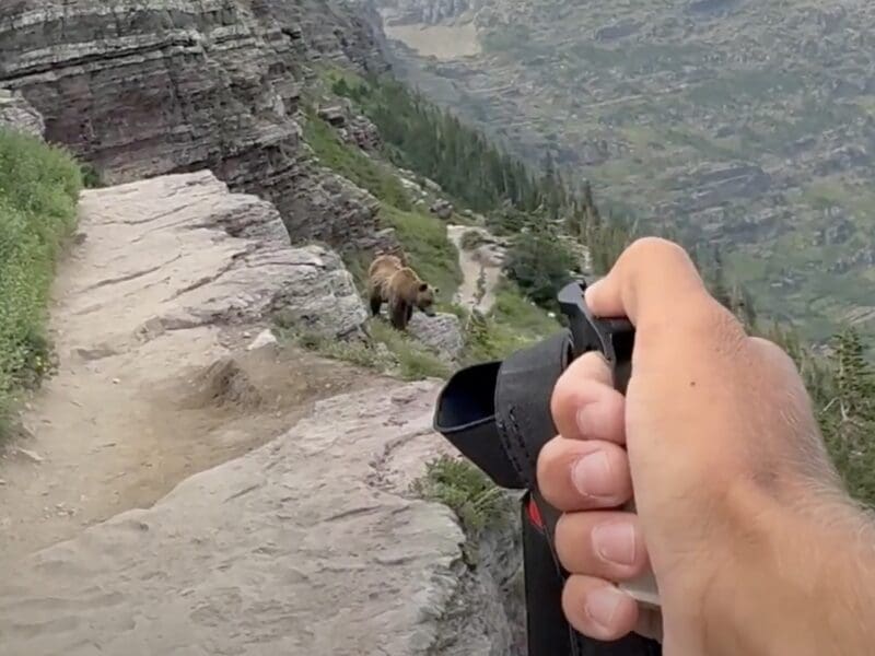 Hiker draws bear spray as grizzly approaches @ Glacier National Park