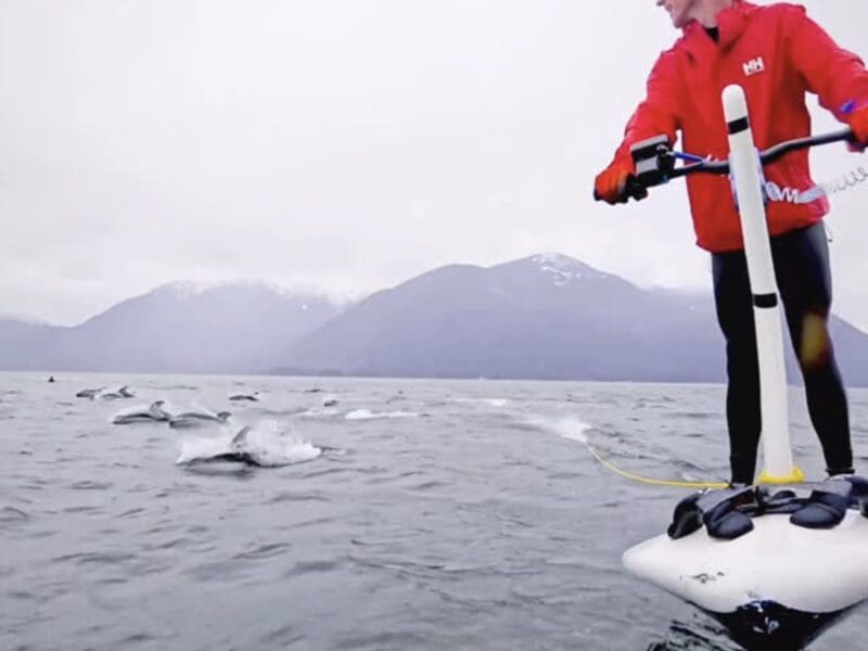 E-Foiler dolphin pod encounter @ British Columbia