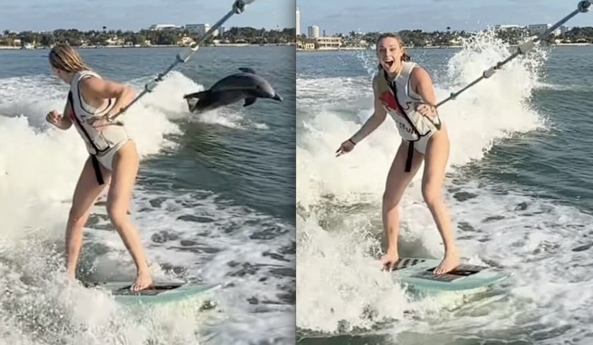 Lindsey Vonn joined by dolphins wake-surfing in Miami.