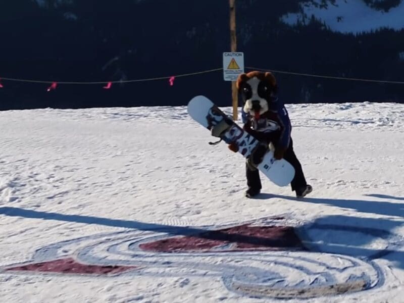 Colorado Avalanche paint logo at the top of Copper Mountain.