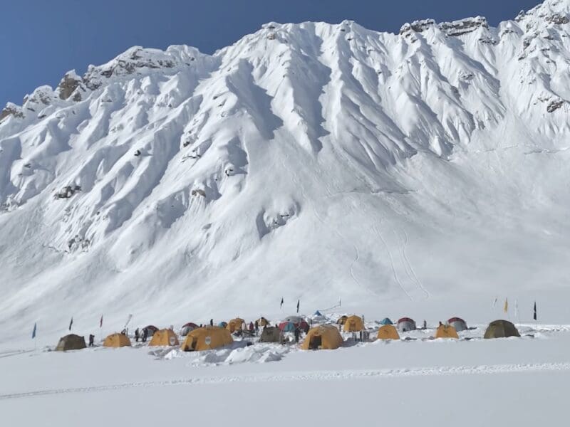 Natural Selection Ski.