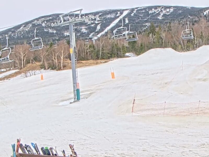 Saddleback base live camera.