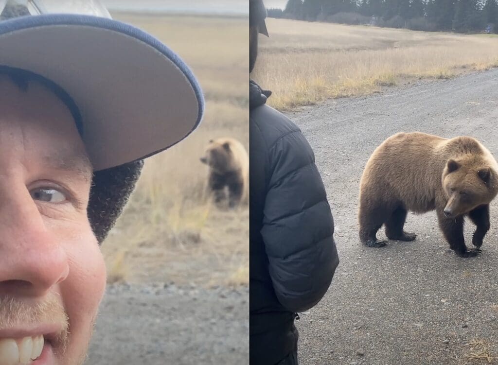 Alaskan bush pilot comes face to face with grizzly bear