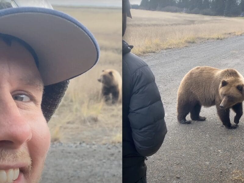 Alaskan bush pilot comes face to face with grizzly bear