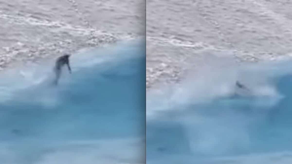 Icy pond skim wipeout.