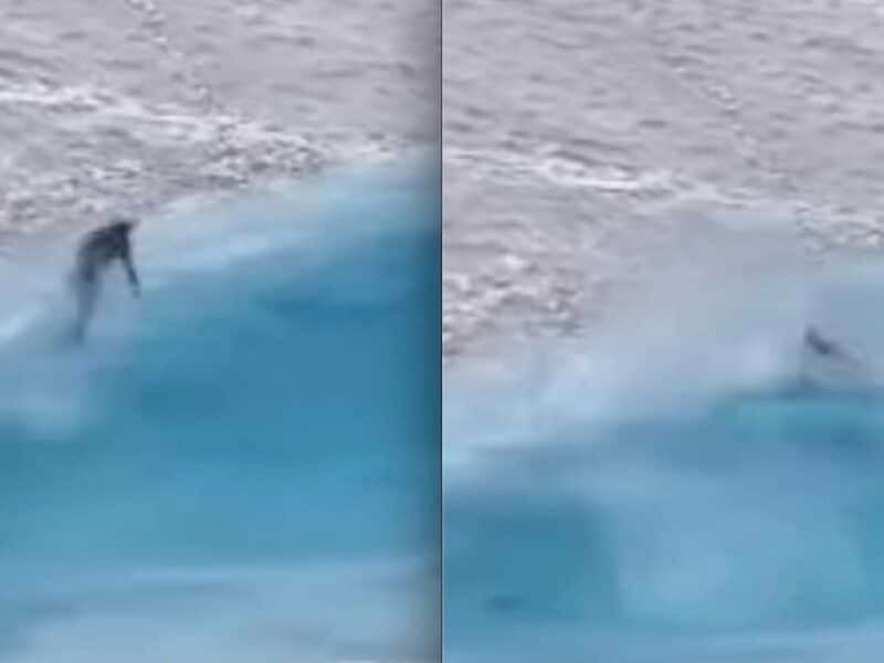 Icy pond skim wipeout.
