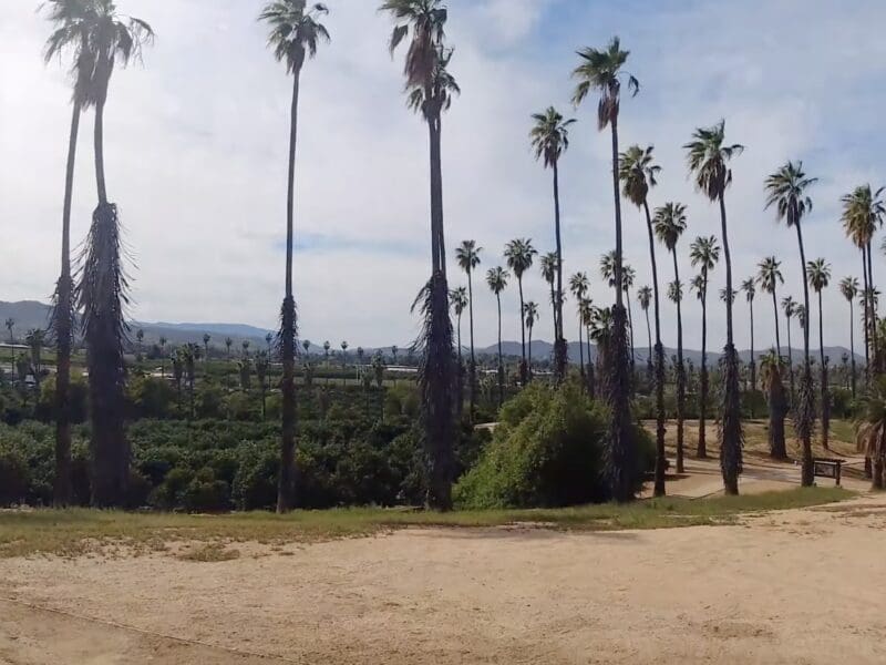 California Citrus State Historic Park.